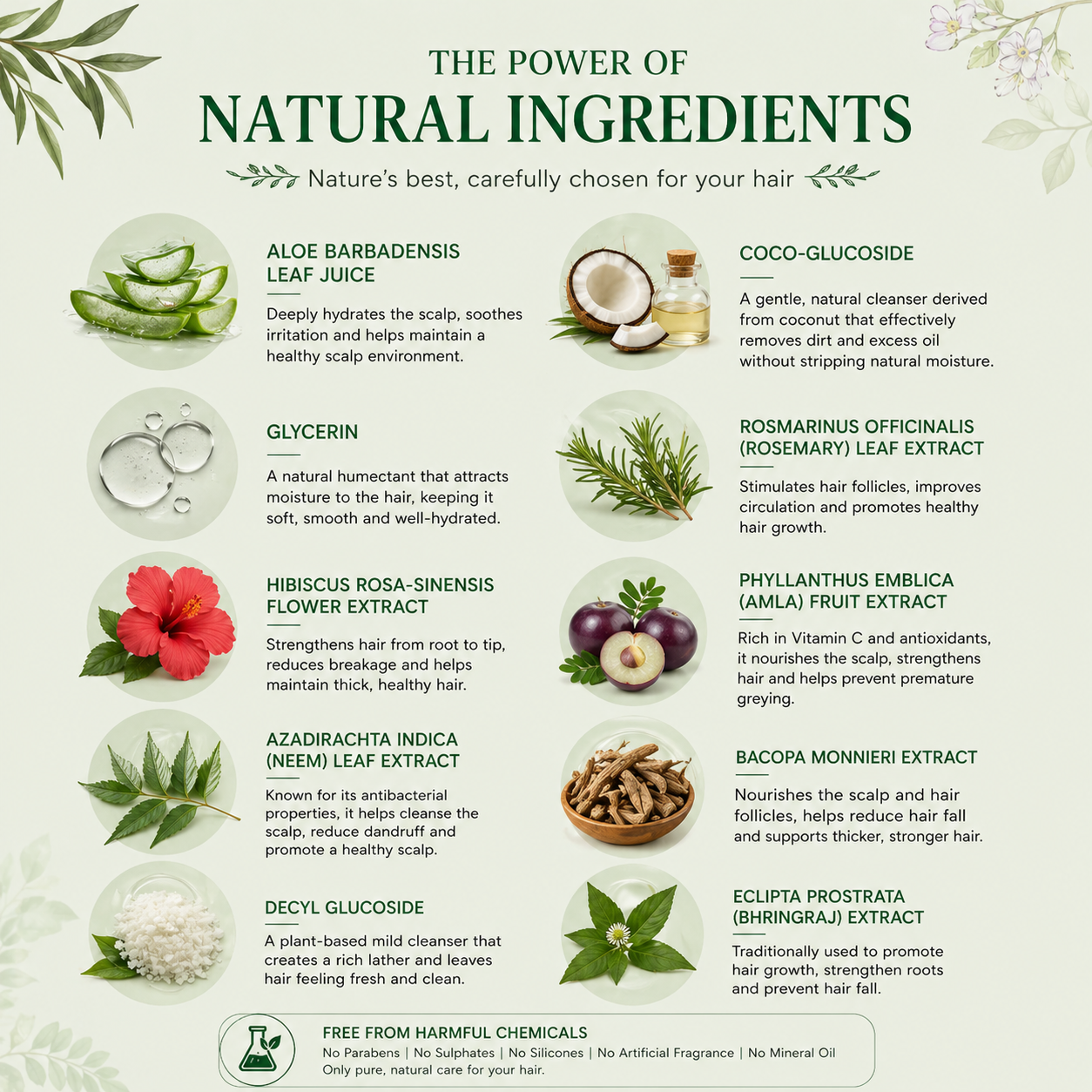 Pure Roots Herbal Shampoo